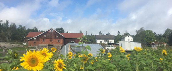 Dale Store gård