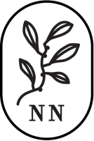 Nordre Nes
